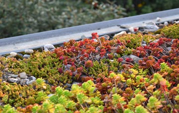 the cost of Maundown green roof installation