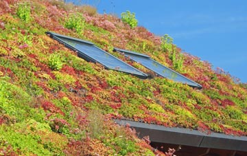 Maundown living roof systems